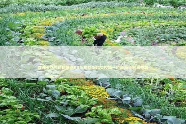 欧洲天然气价格暴涨60%电费濒临失控新一轮能源危机再来袭