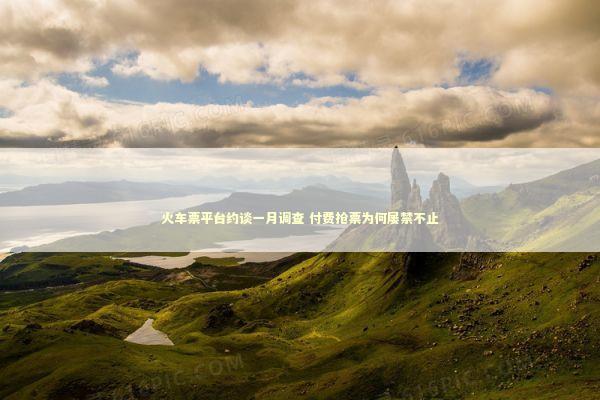 火车票平台约谈一月调查 付费抢票为何屡禁不止