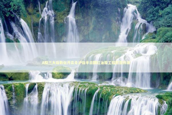 A股三大指数低开高走沪指半日翻红油服工程掀涨停潮