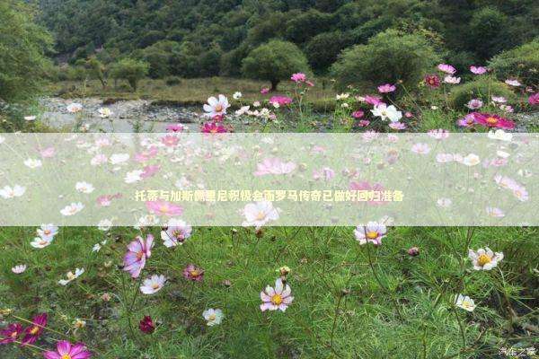 托蒂与加斯佩里尼积极会面罗马传奇已做好回归准备