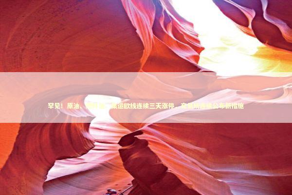 罕见！原油、燃料油、集运欧线连续三天涨停，交易所连续公布新措施