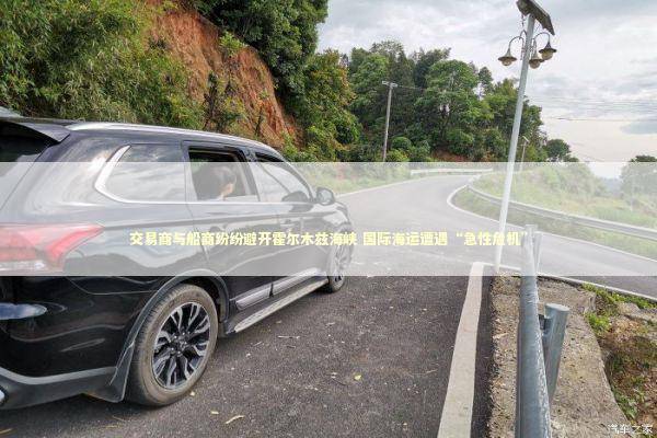 交易商与船商纷纷避开霍尔木兹海峡 国际海运遭遇“急性危机”