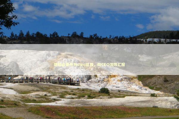 胡柏山晋升为vivo总裁，向CEO沈炜汇报