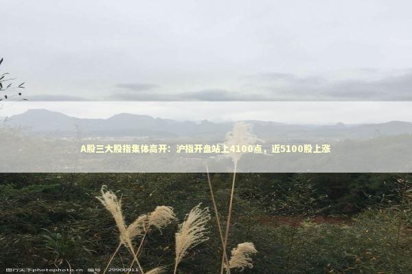 A股三大股指集体高开：沪指开盘站上4100点，近5100股上涨