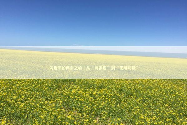 习近平的两会之喻｜从“两张皮”到“无缝对接”