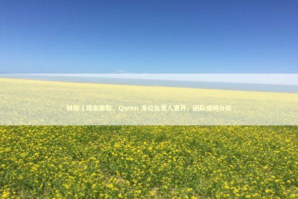 林俊旸提出离职，Qwen 多位负责人离开，团队或将分拆