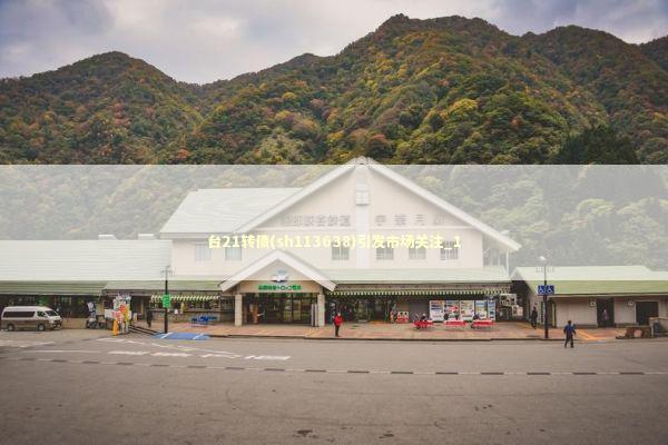 台21转债(sh113638)引发市场关注_1