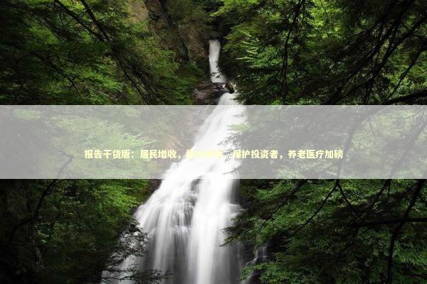 报告干货版：居民增收，稳定楼市，保护投资者，养老医疗加磅