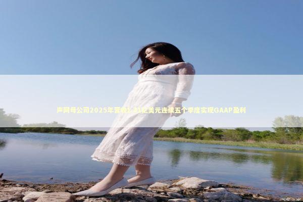 声网母公司2025年营收1.41亿美元连续五个季度实现GAAP盈利