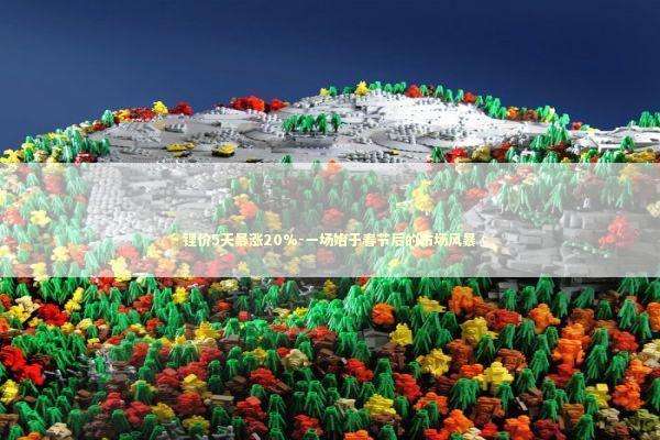 锂价5天暴涨20%-一场始于春节后的市场风暴