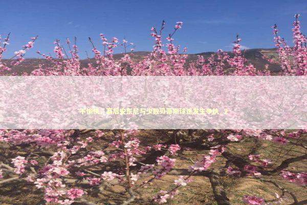 不愉快，赛后安东尼与少数贝蒂斯球迷发生争执_2