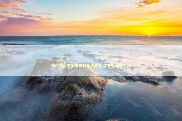 西岭雪山下小青梅托起大产业引发市场关注_5