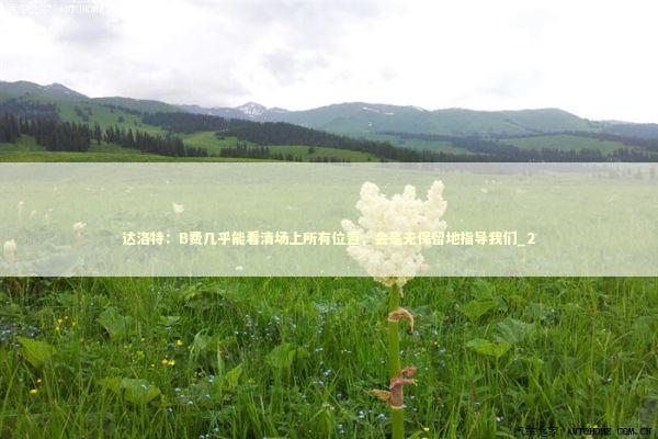 达洛特：B费几乎能看清场上所有位置，会毫无保留地指导我们_2