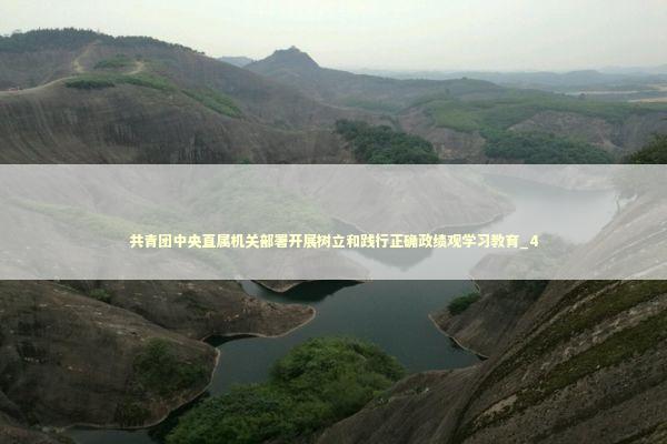 共青团中央直属机关部署开展树立和践行正确政绩观学习教育_4