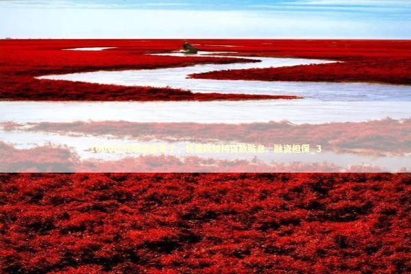 1000亿专项资金来了，将重磅加持贷款贴息、融资担保_3