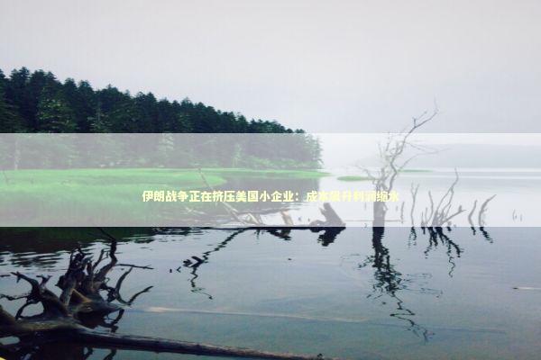 伊朗战争正在挤压美国小企业：成本飙升利润缩水