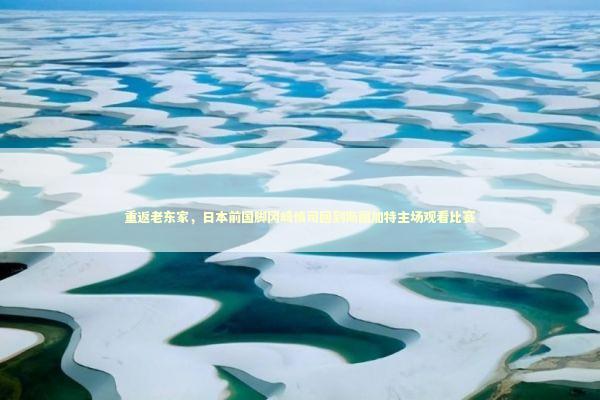 重返老东家，日本前国脚冈崎慎司回到斯图加特主场观看比赛