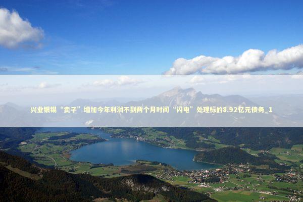 兴业银锡“卖子”增加今年利润不到两个月时间“闪电”处理标的8.92亿元债务_1