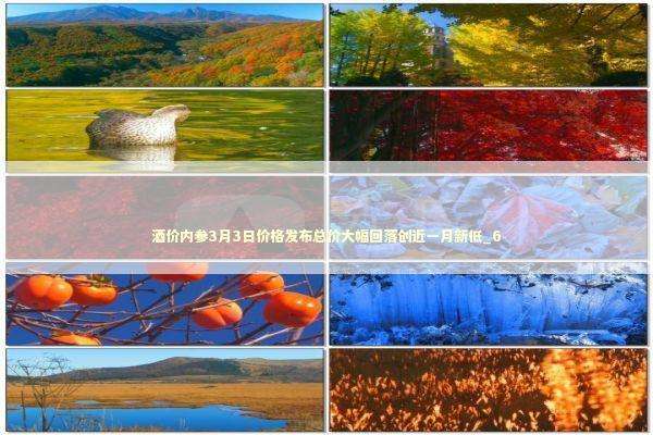 酒价内参3月3日价格发布总价大幅回落创近一月新低_6