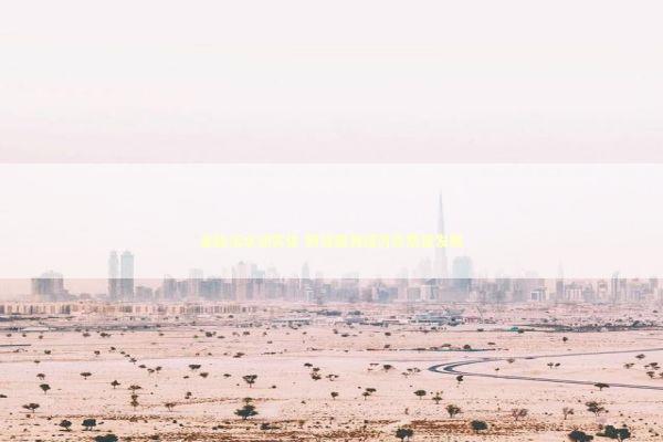 金融活水润实体 期货服务经济高质量发展