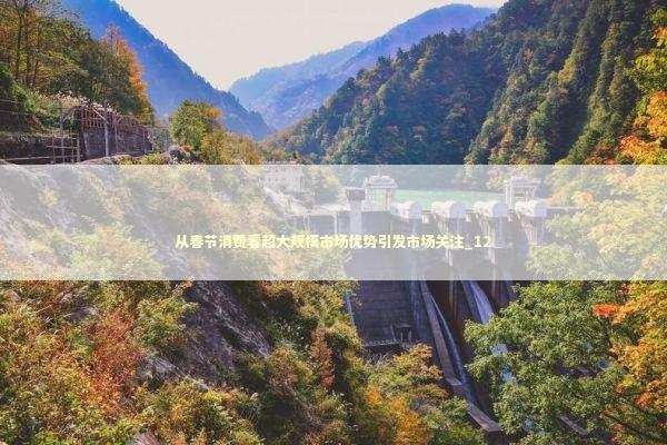 从春节消费看超大规模市场优势引发市场关注_12