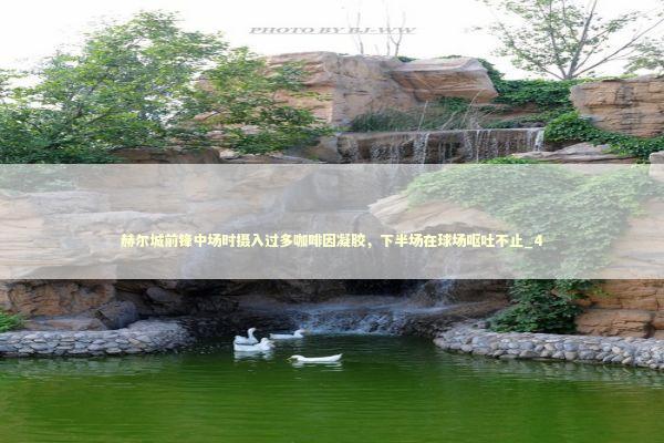 赫尔城前锋中场时摄入过多咖啡因凝胶，下半场在球场呕吐不止_4