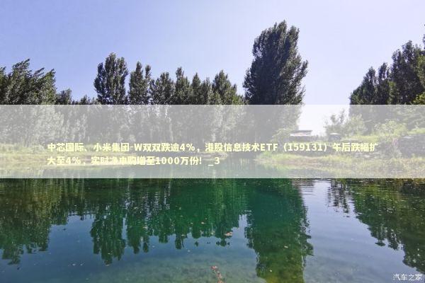 中芯国际、小米集团-W双双跌逾4%，港股信息技术ETF（159131）午后跌幅扩大至4%，实时净申购增至1000万份！_3