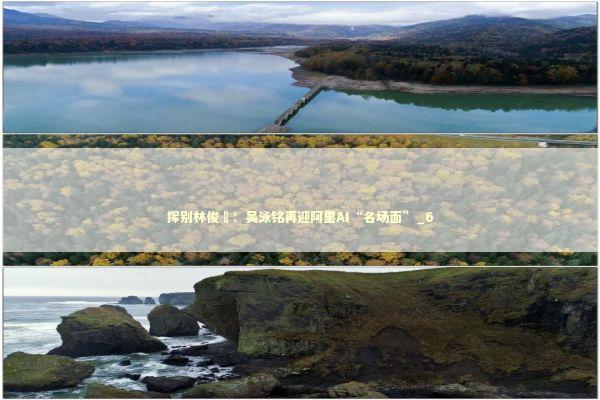 挥别林俊旸：吴泳铭再迎阿里AI“名场面”_6