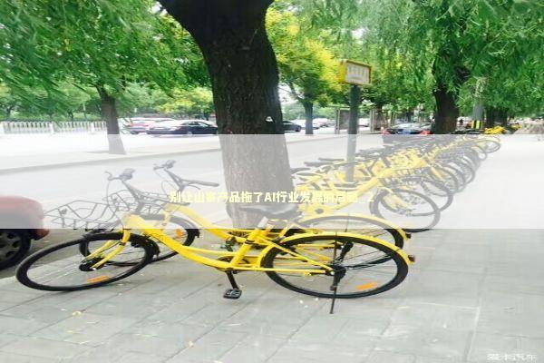 别让山寨产品拖了AI行业发展的后腿_2