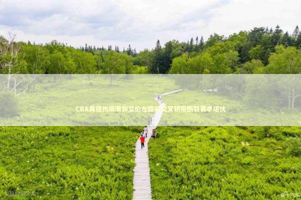 CBA再现伤病潮郭艾伦左膝前交叉韧带断裂赛季堪忧