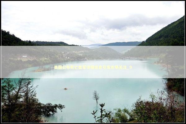 美国公布死亡美军详细信息引发市场关注_9