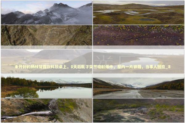 未开封的杨枝甘露饮料放桌上，8天后瓶子突然喷射爆炸，屋内一片狼藉，当事人回应_8