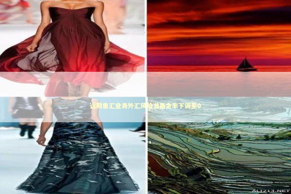 远期售汇业务外汇风险准备金率下调至0