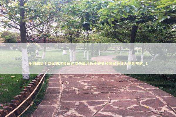 全国政协十四届四次会议在京开幕习近平等党和国家领导人到会祝贺_1