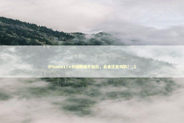 iPhone17e存储翻倍不加价，真香还是鸡肋？_1