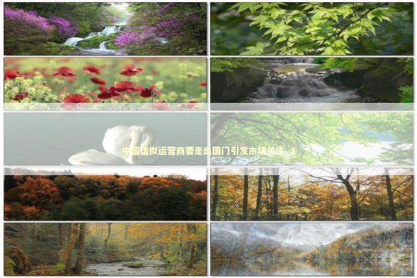 中国虚拟运营商要走出国门引发市场关注_1