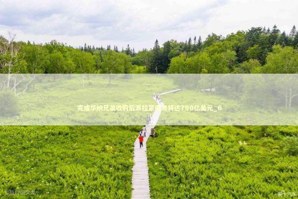 完成华纳兄弟收购后派拉蒙债务将达790亿美元_6