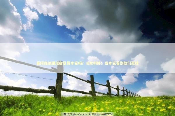 看阿森纳踢球会觉得享受吗？沃尔科特：我享受看到他们赢球