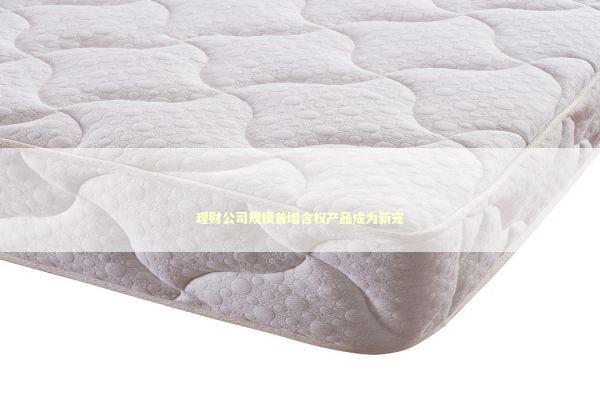 理财公司规模普增含权产品成为新宠