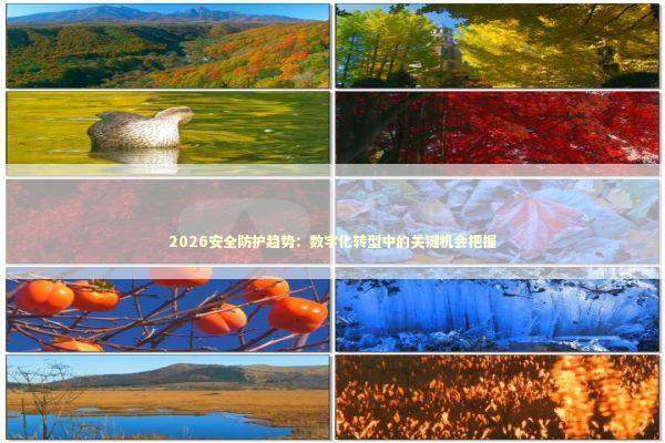 2026安全防护趋势：数字化转型中的关键机会把握