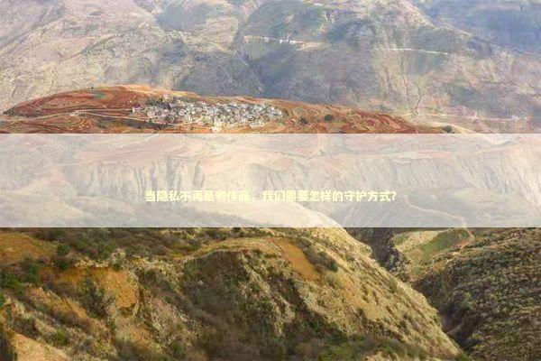 当隐私不再是奢侈品，我们需要怎样的守护方式？