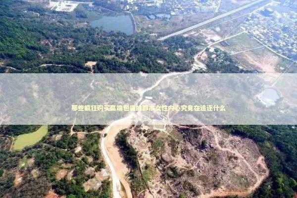 那些疯狂购买高端包袋的都市女性内心究竟在追逐什么 情感心理