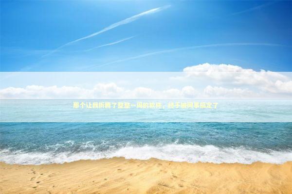 那个让我折腾了整整一周的软件，终于被同事搞定了