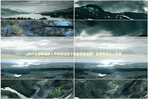 为什么越来越多人开始关注这个金色视觉品牌？背后原因令人深思