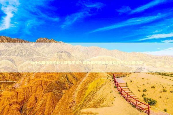 为什么精仿包包让人欲罢不能？深析奢侈品消费背后的三大心理诉求 时尚用品