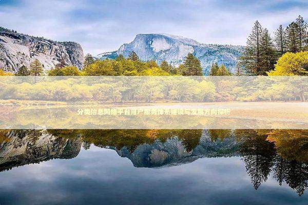 分类信息网络平台用户服务体系建设与发展方向探析